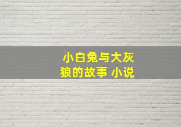 小白兔与大灰狼的故事 小说